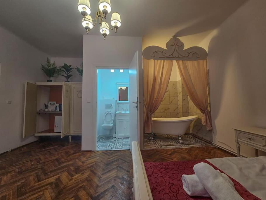 Ludovic Boutique Apartment Brașov Exterior foto